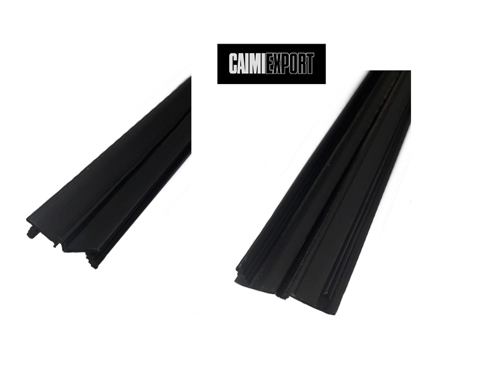 caip00.png