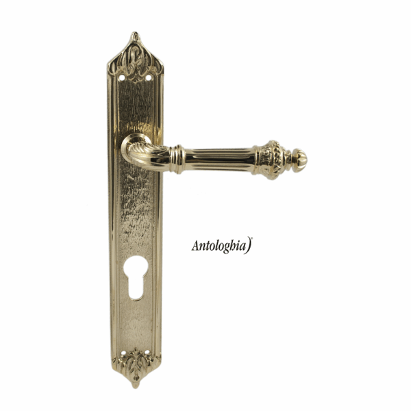 Maniglia Impero 8x85 Yale Placca mm.258x37 Ottone Naturale | Antologhia Colombo