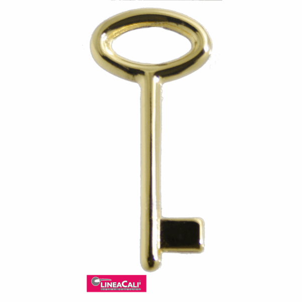 Chiave Serratura Porta Interna Mod.624 Mappa Piena Oro 24k | Linea Cali