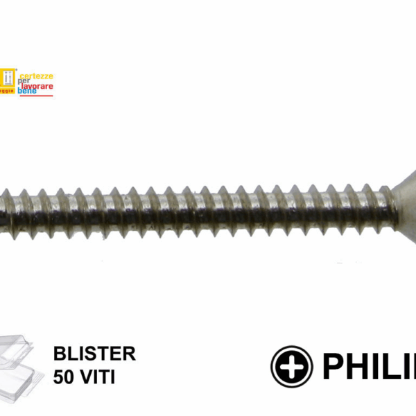 VITE AUTOFILETTANTE TSP PH2 INOX A2 IN BLISTER DA PEZZI 50 mm.3,9 VARIE LUNGHEZZE  TECFI
