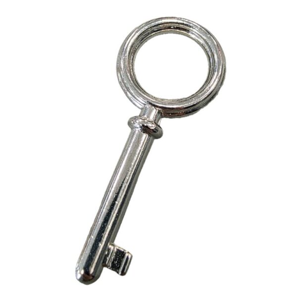 Chiave per Serratura Porta Estensibile Soffietto Nichelata  Forte