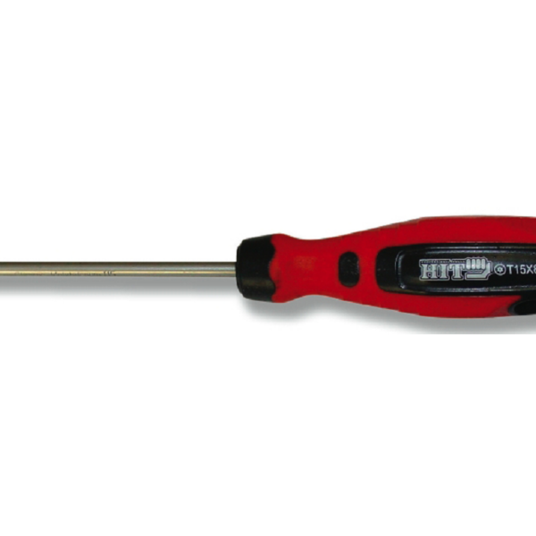 CACCIAVITE TORX CON FORO prodotto da HIT