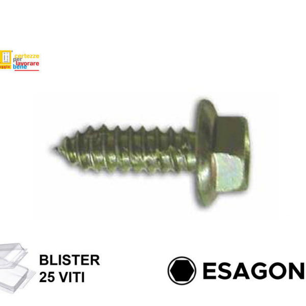 VITE AUTOFILETTANTE TE ZINCATO IN BLISTER DA PEZZI 25 mm.6,3 VARIE LUNGHEZZE   FRULSIDER