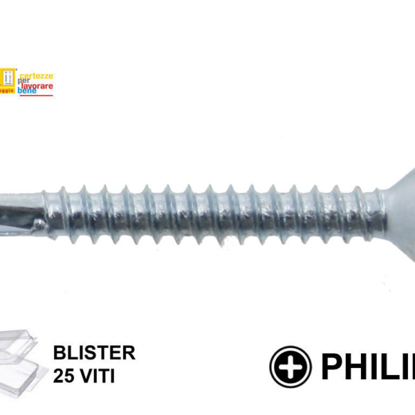 VITE AUTOPERFORANTE TSP PH2 ZINCATA IN BLISTER mm.3,9 VARIE LUNGHEZZE | TECFI